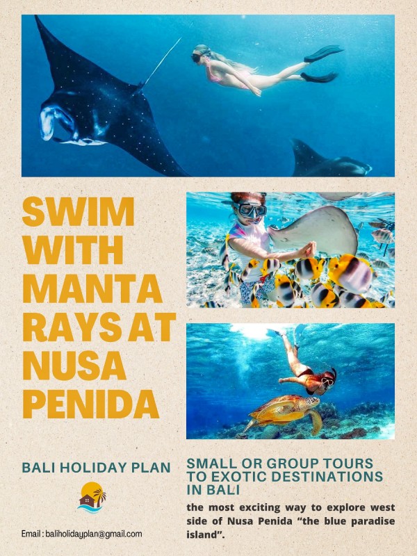 Nusa Penida Snorkeling Tour in Bali Swim with Manta Rays All Inclusive