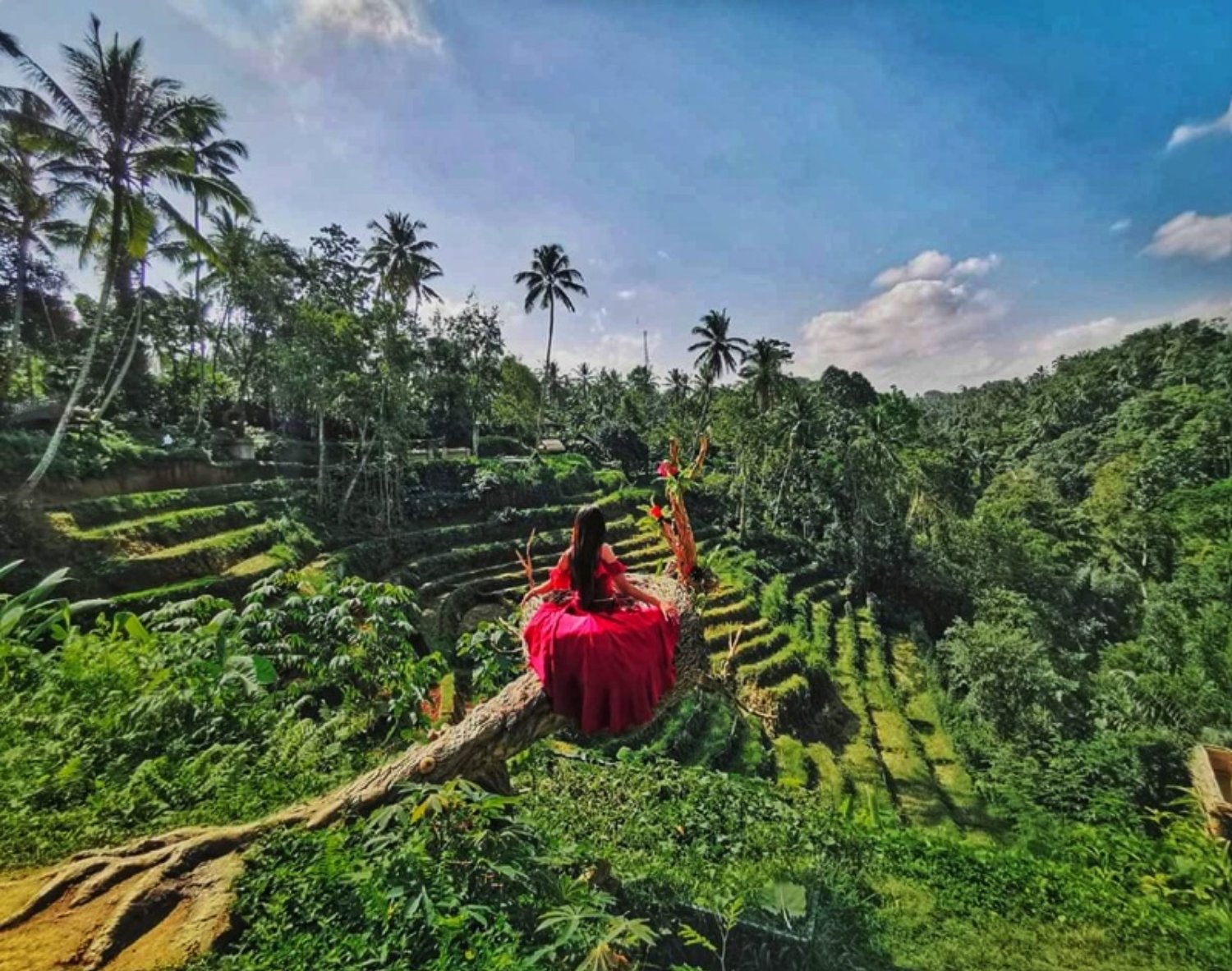jimbaran-to-ubud-taxi-cost-2022-price-list-2022