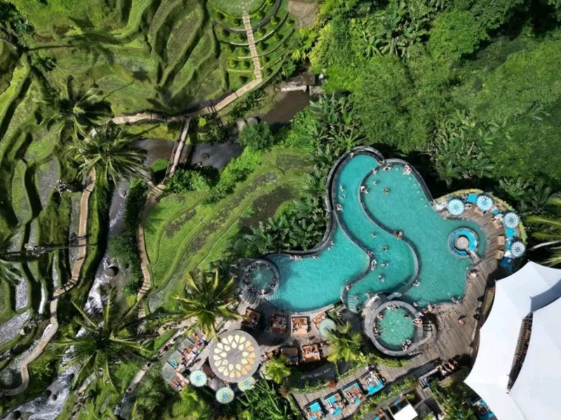 Cretya Jungle and Rice Terrace Infinity Pool
