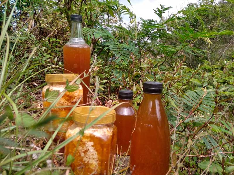 Madu Bali Original