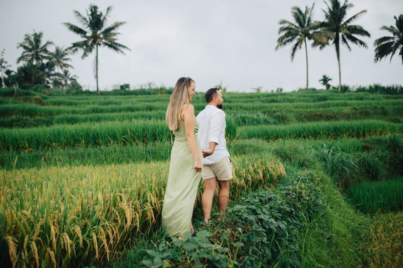 wisata sawah terasering di bali