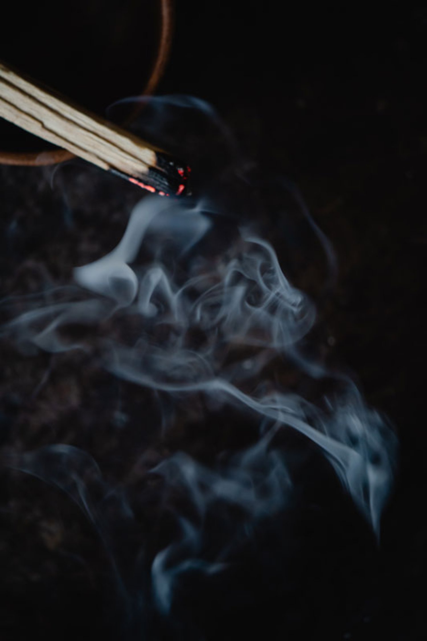 Supplier Dupa Murah Di Bali Dengan Produk Terupdate