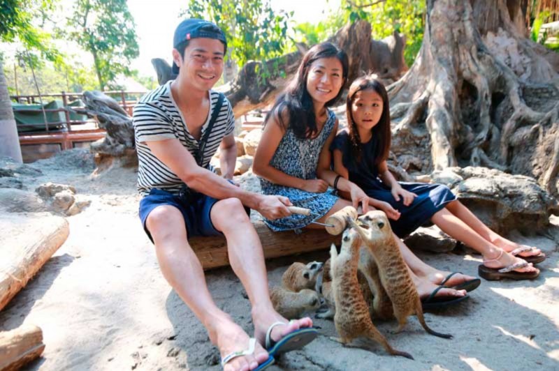 Animal Feeding di Taman Bali Safari