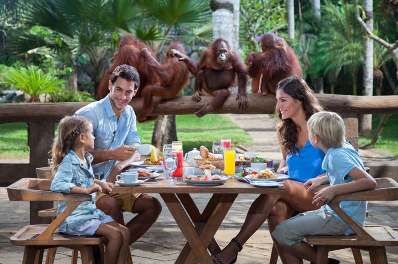 Breakfast with Orangutan di Bali Zoo Park