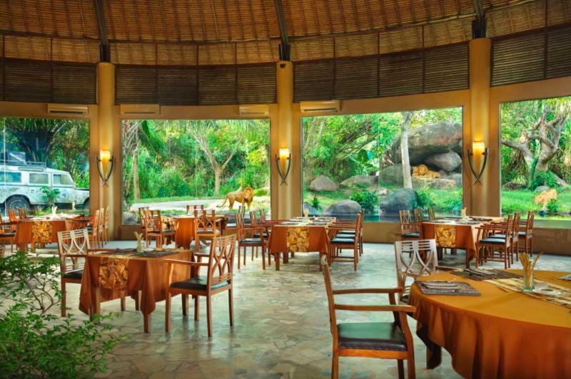 Breakfast with the Lions di Taman Bali Safari