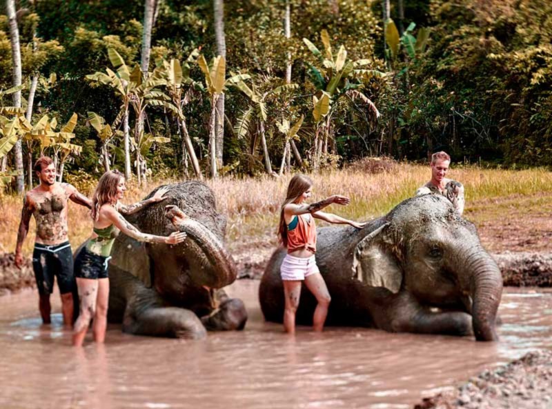 Elephant Mud Fun di Bali Zoo Park