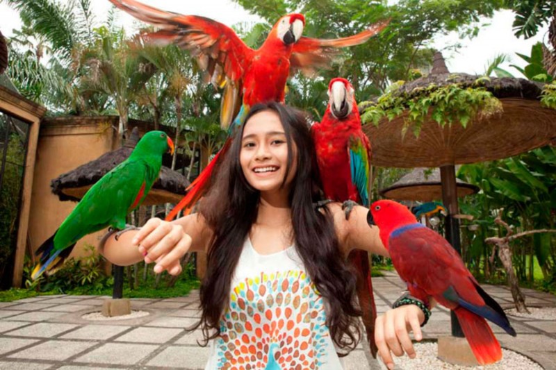 Guyu Guyu Corner Di Bali Bird Park
