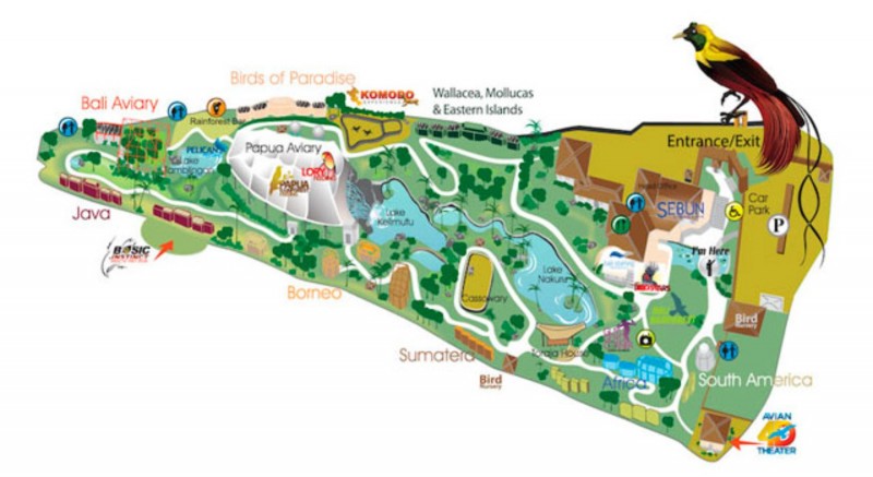 Taman Burung Bali Bird Park