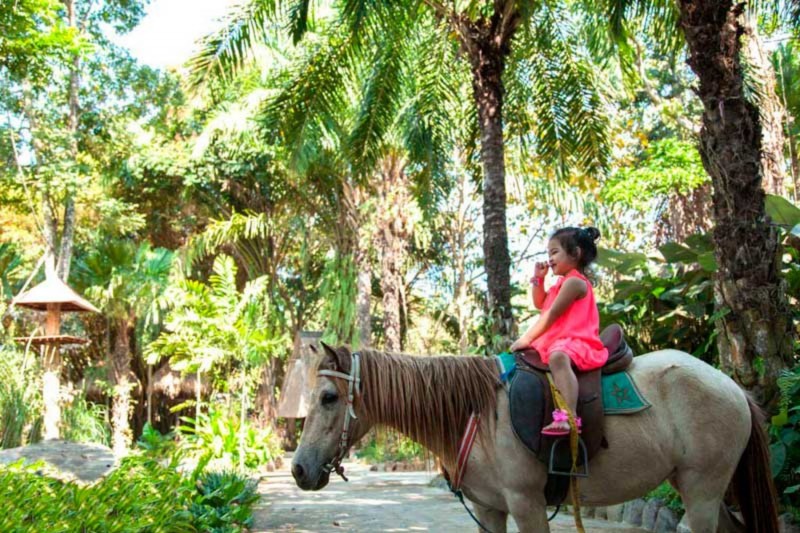 Pony Ride di Bali Zoo Park